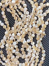 Lot of 6 Natural Shell Circle Coin Flat Round Beads 8mm 16" Strands 20680