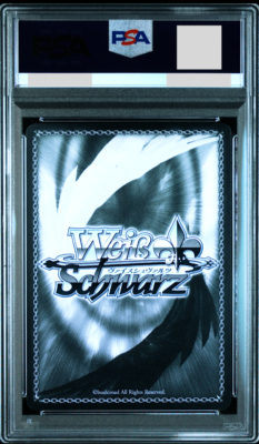 100年クエスト　ウェンディ　ssp ウェンディ マーベル ssp フェアリーテイル 100年クエスト ウェンディ