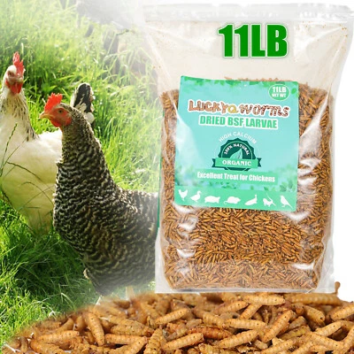 LUCKYQ 11LBS Non-GMO Dried BSF Larva Fit Wild Bird Food Treats Chickens Reptile Turtles