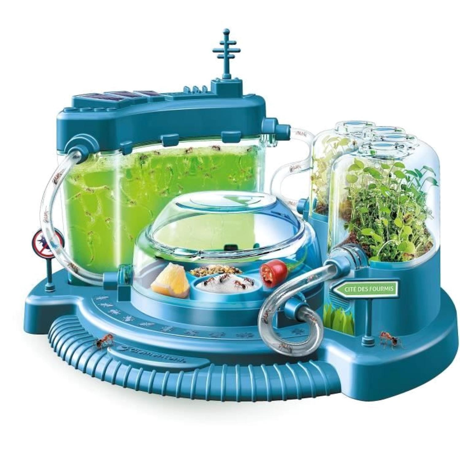 Jeu de science observatoire de fourmis avec gel nutritif transparent