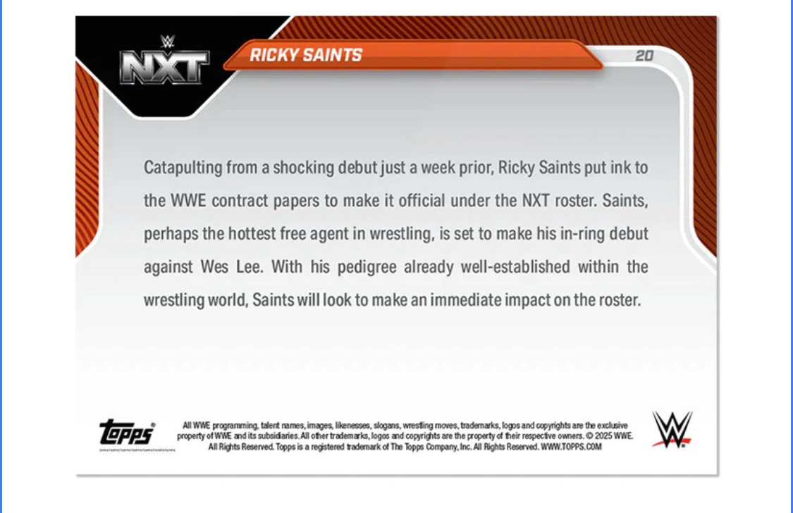 【値下げ】WWE NXTスーパースター　直筆サインポスター s-l400.jpg