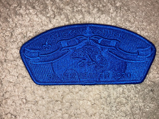 Boy Scout SA174 2020 Silver Beaver Ghost Buckeye Council Strip Ohio CSP Patch