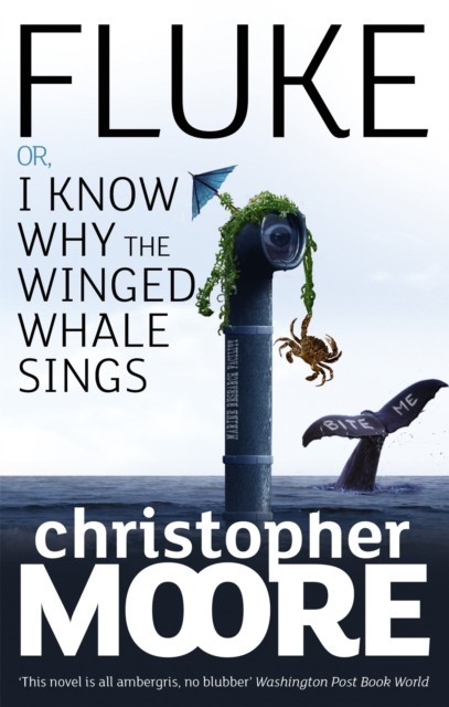 Fluke by Christopher Moore (Paperback Book)