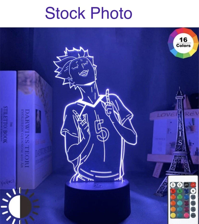 Anime Haikyuu Color Changing 3D Illusion LED Lamp Remote Plug In Or Batteries
