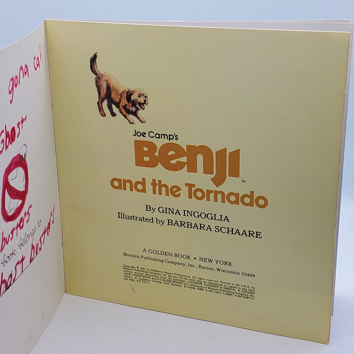 Benji And The Tornado Golden Look Book 1981 Gina Ingoglia Joe Camp