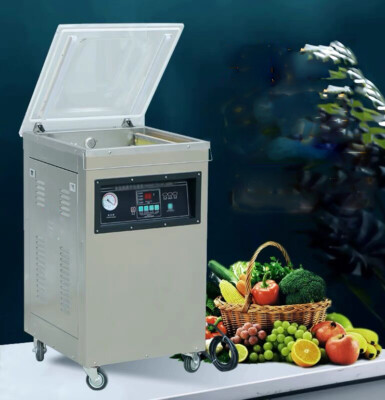 TECHTONGDA 110V DZ-400 Single Chamber Automatic Food Vacuum Packaging Machine