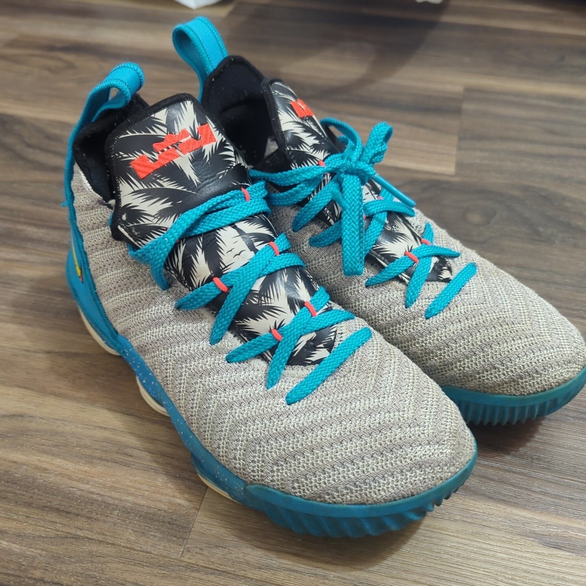 Nike Lebron XVI 16 GS 