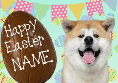 Akita Hund Frohe Ostern personalisierte Grußkarte A5 Schokoladenei EE38
