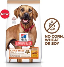 ideal balance large breed