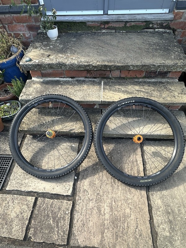 Hope Pro 4 Hubs Ethirteen Rims 29in