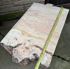 Spalted Silver Maple Burl Slab/ Live Edge Maple/ Maple Burl/ Spalted Maple - J R