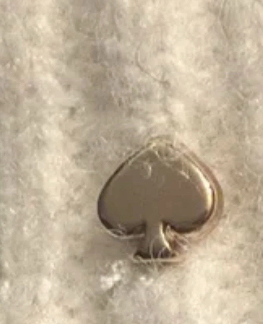 Picture 1 of 1