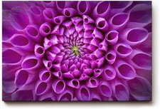 Quadro Sinus Art Architettura Floreale Simmetrica in Viola Vigoroso con