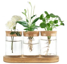 Plant Propagation Terrarium Desktop Glass Planter Station Water Planting Glass V