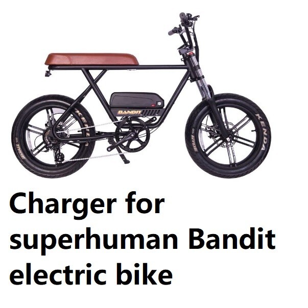 36Vバッテリー（BONITA,E-BIKE,サンドバイク) 楽天市場】電動機付