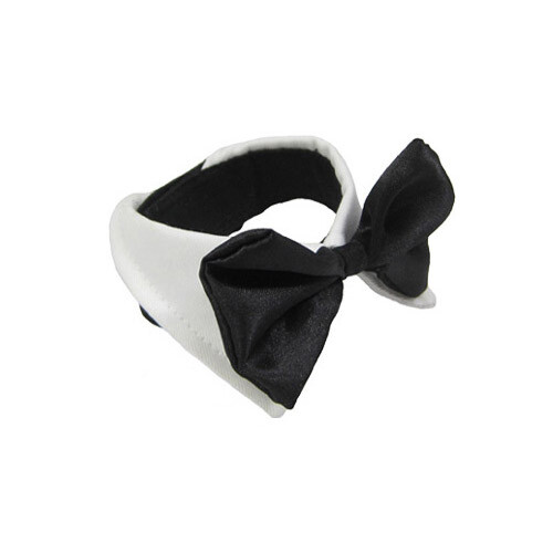 Papillon per Cani di tutte le taglie: accessorio x matrimonio con il tuo cane