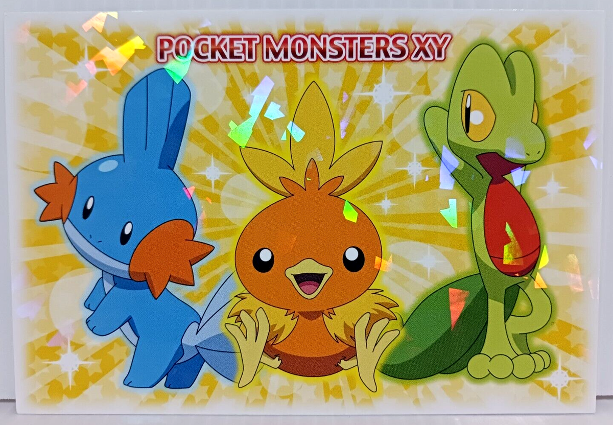 Treecko Torchic Mudkip The Movie XY Pokemon Card Pocket Monsters