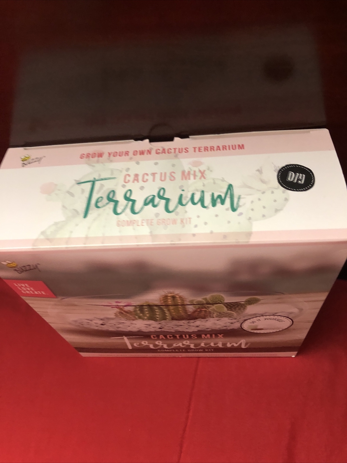 Buzzy DIY Cactus Mix Terrarium Complete Grow Kit Glass,Rocks,Medium