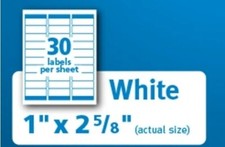 Peanuts Snoopy  Friends Mix - Return Address Labels - Personalized