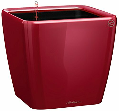 Lechuza - Quadro Premium 35 LS, Vaso quadrato con sistema di (I0Q)