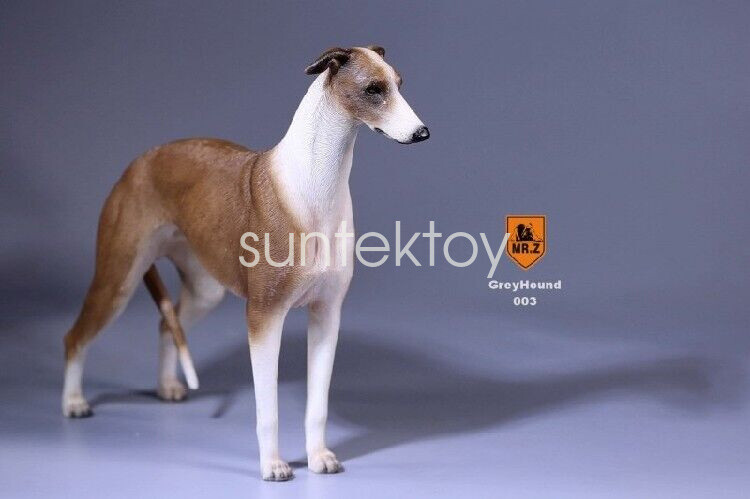 Mr.Z GD003 Real Animal Series No.14 Greyhound Dogs 1/6 | eBay