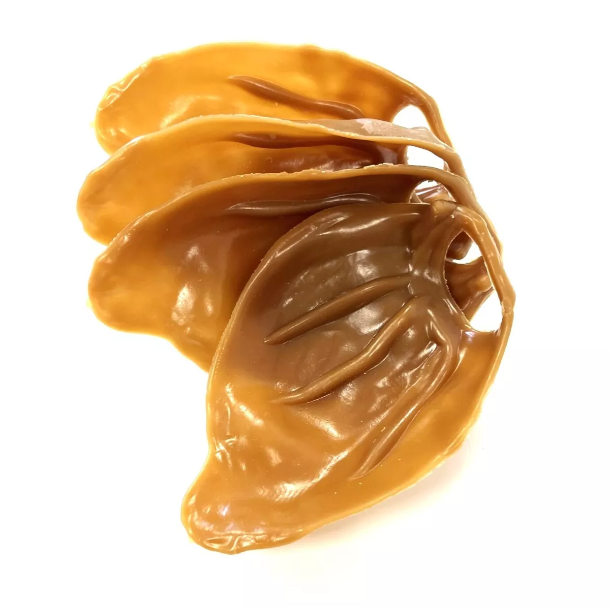Vegetarian pigs top ears for dogs