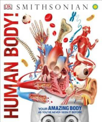 Human Body! - Hardcover By DK - VERY GOOD