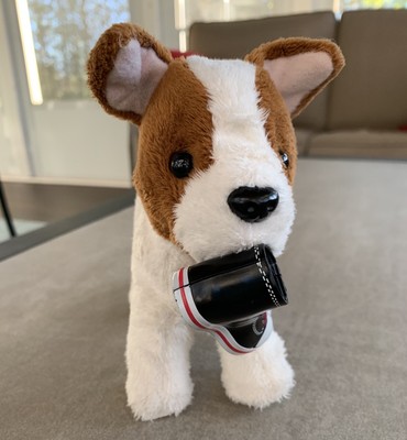 american girl terrier puppy