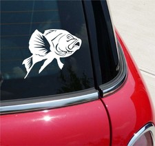 BASS FISH FISHING BAIT FISHFRY GRAPHIC DECAL STICKER ART CAR WALL DECOR