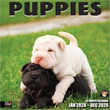 Select - Puppies 2026 Wall Calendar 12 Month  12" X 24" Open  Thick  Sturdy P