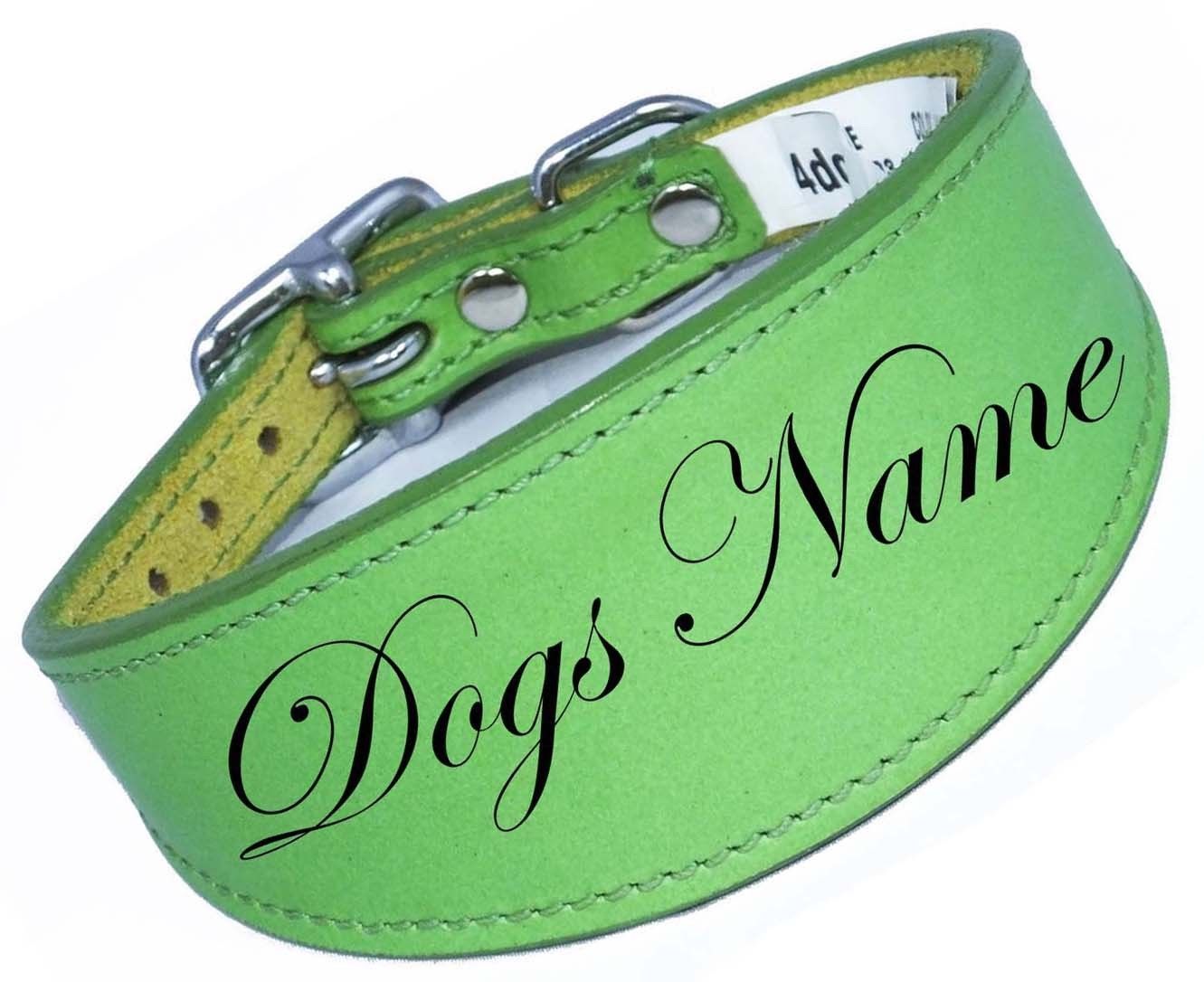 Personalized Greyhound Whippet Collar Leather Dog Collar Padded Backing