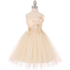 CHAMPAGNE Size 2 Flower Girl Dress Bridesmaid Recital Birthday Wedding Formal