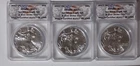2017 P. S. W. Silver Eagle Complete Mint State Set  ANACS MS70 First Strike