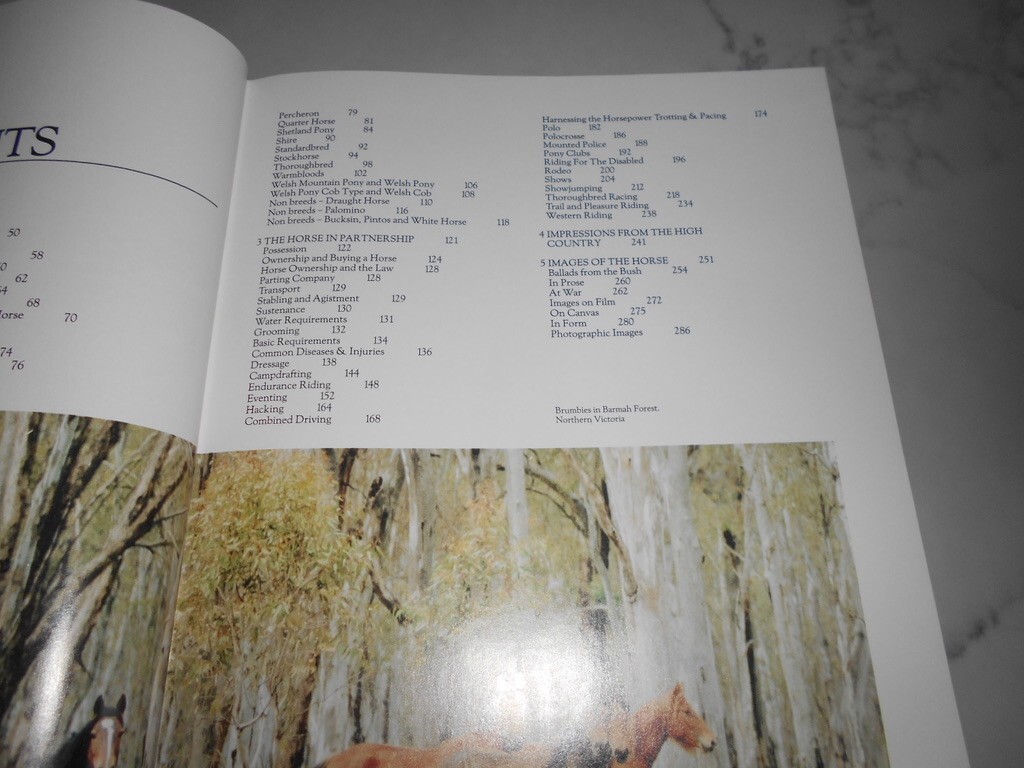 Picture 10 of 13