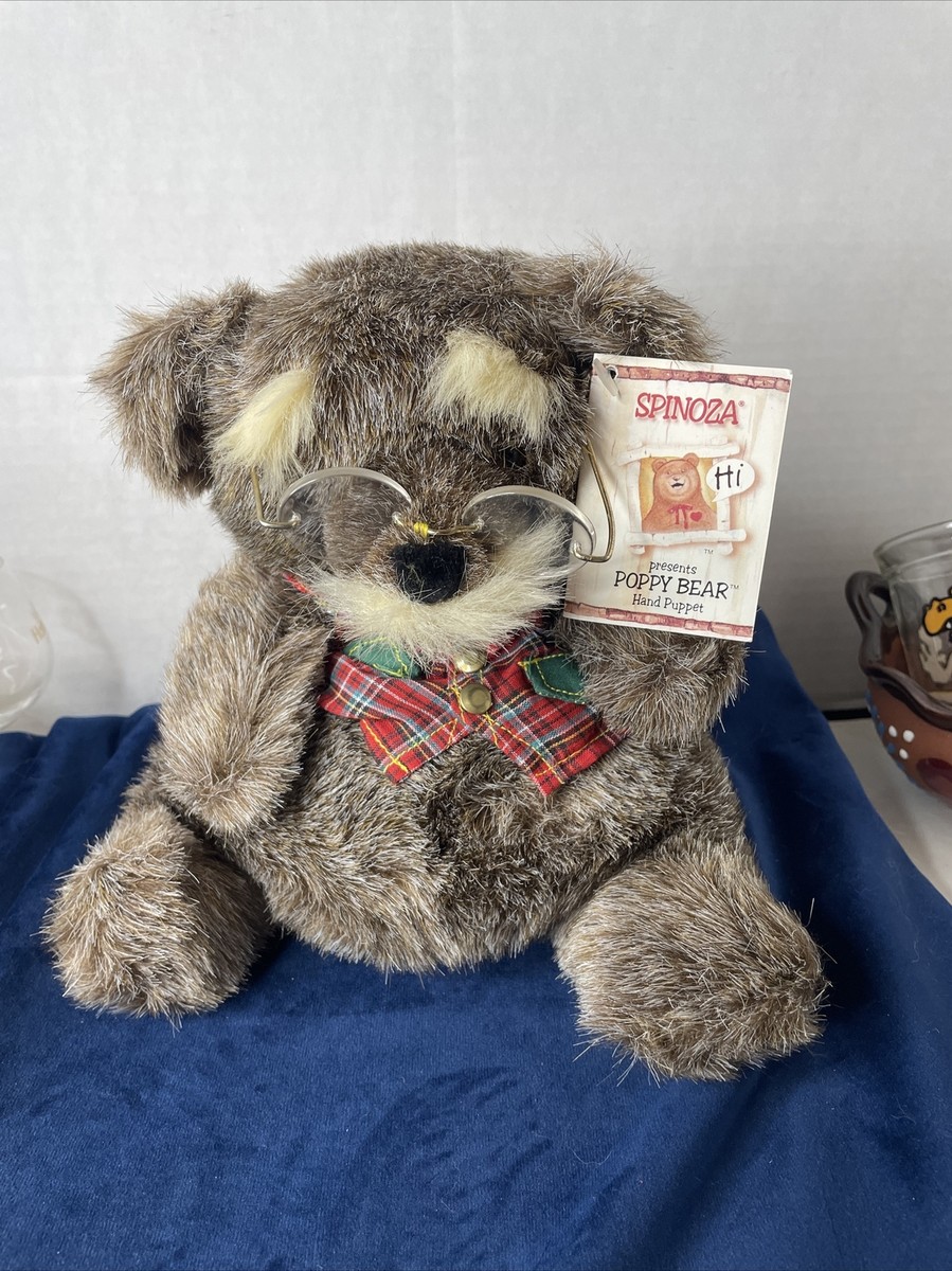Spinoza Therapy Autism Bear Poppy Bear Vintage 1985 | eBay