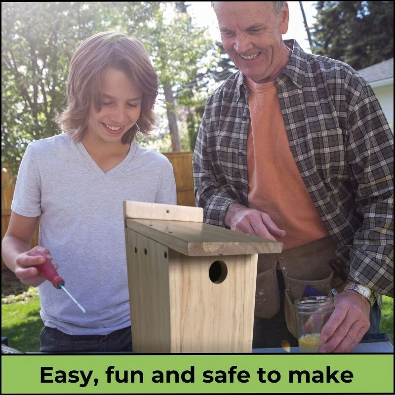 Construye tu propio juego de caja para pájaros kit hágalo usted mismo nido de pájaros casa regalo madera para niños nuevo