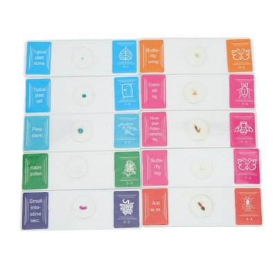 10x Microscope Slide Biological Slide Specimen Ground Edge Highly Transparen SET
