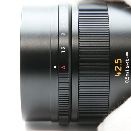 Panasonic LEICA DG NOCTICRON 42.5mm F/1.2 ASPH. POWER O.I.S. #262 - Picture 7 of 12