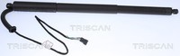 Hinten Links Triscan 8710 11305 Gasfeder, Koffer-/Laderaum FüR Bmw
