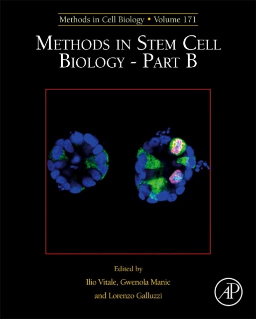 Methods in Stem Cell Biology  Part B by Ilio Vitale HARDBACK 9780323900188