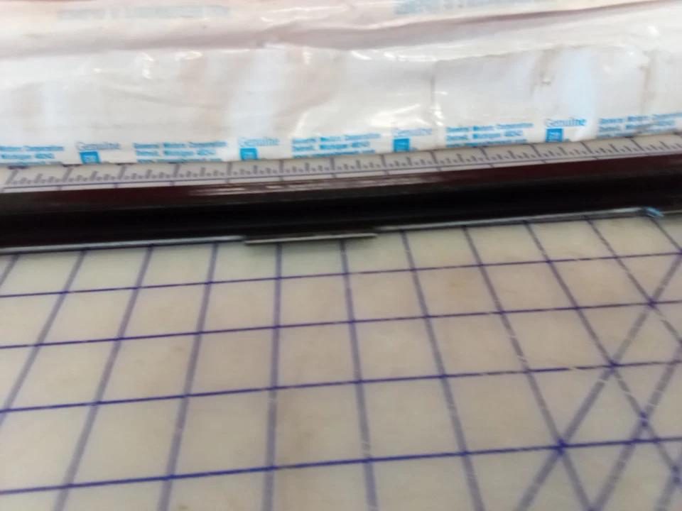 GM 15757529 Conjunto de tira climática ventana puerta lateral delantera, nuevo stock antiguo, gratis... Foto 3 de 4