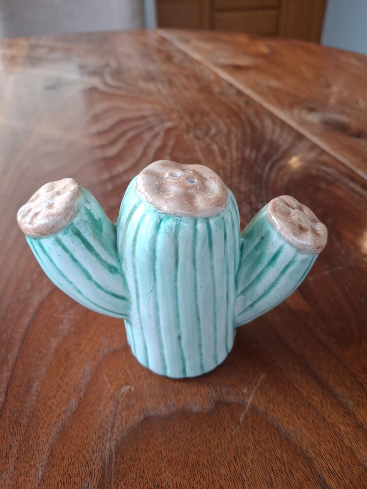 Salero o pimentero de cactus de colección (1) decoración estilo suroeste Foto 2 de 4