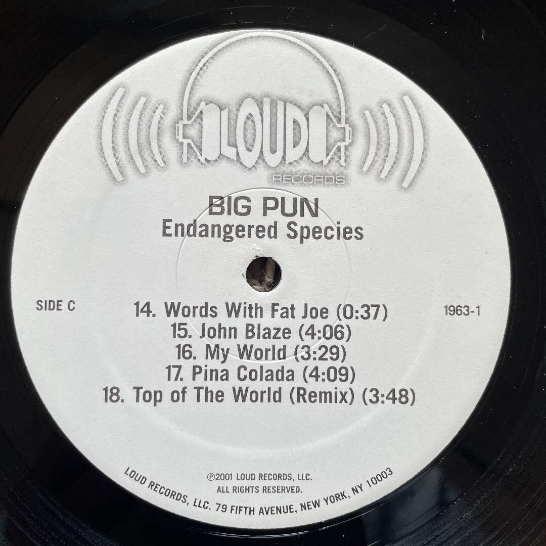 Big Pun / Endangered Species 12