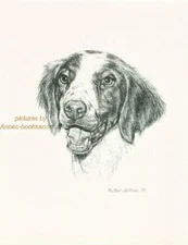 #245 BRITTANY  SPANIEL dog art print * Pen and ink drawing by Jan Jellins