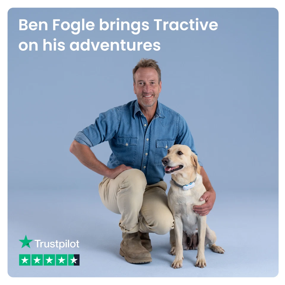 Tractive DOG XL GPS Collar | Refurbished | Green | Trusted by Ben Fogle - Image 2 of 4