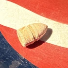Dug Civil War 💥 🇺🇸 💣 Beautiful High Base Sharps Bullet