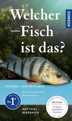 Welcher Fisch ist das? Matthias Bergbauer
