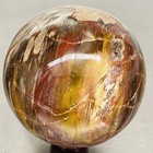 Natural Petrified Wood Polished Stone Quartz Crystal Sphere Ball Healing 1800G — photo 2