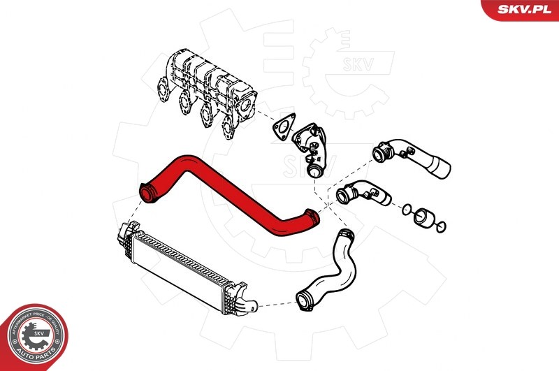 Fits SKV GERMANY 24SKV791 TURBINE HOSE 24SKV791 / # 709 RENAULT MASTE ⭐UK Stock⭐