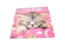 Willow Creek Naptime 2026 Wall Calendar 18 Month Cat Kitten Photos Plastic Free